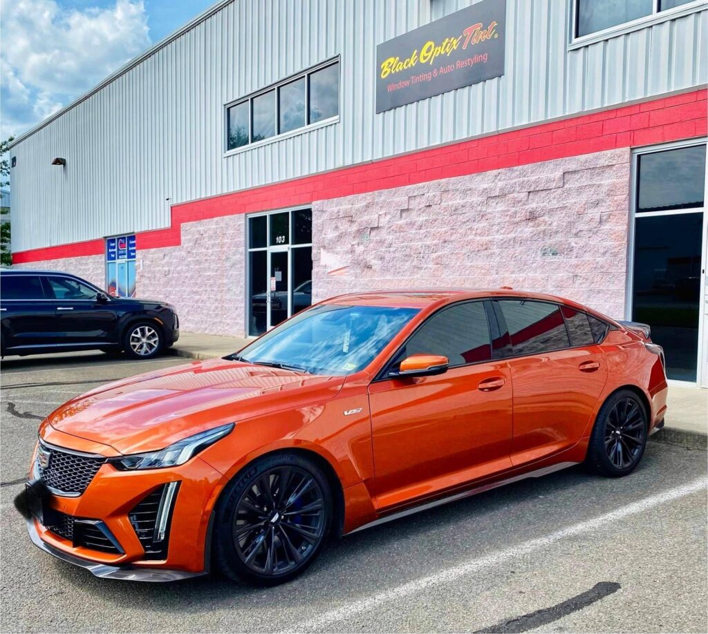 charlotte nc window tinting service